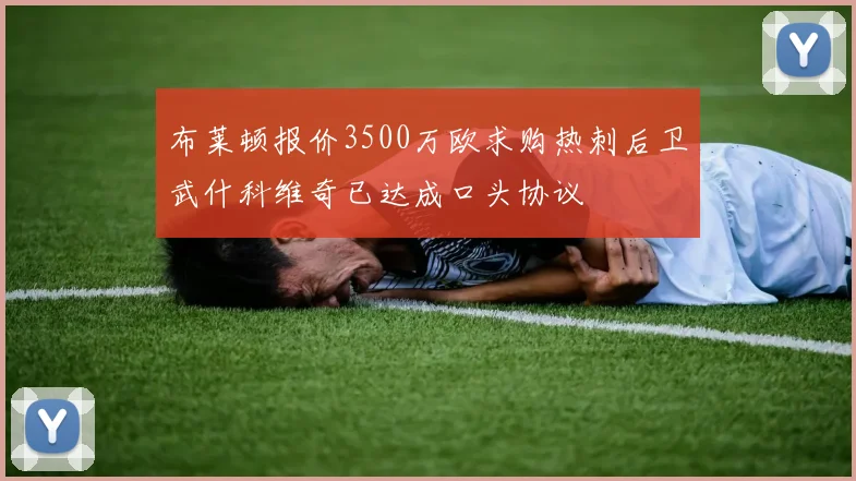 布莱顿报价3500万欧求购热刺后卫武什科维奇已达成口头协议