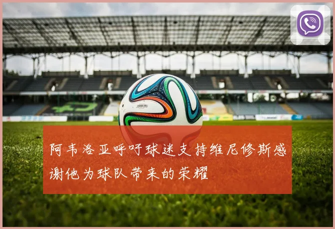阿韦洛亚呼吁球迷支持维尼修斯感谢他为球队带来的荣耀