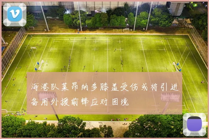 海港队莱昂纳多膝盖受伤或将引进备用外援前锋应对困境